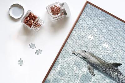 Puzzelkaders